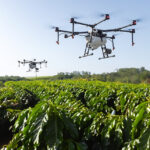 Protetor solar reduz a queima de frutos e aumenta adaptação das plantas às mudanças climáticas